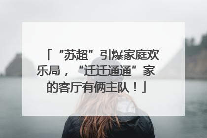 “苏超”引爆家庭欢乐局，“迁迁通通”家的客厅有俩主队！