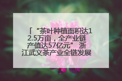 “茶叶种植面积达12.5万亩，全产业链产值达57亿元” 浙江武义茶产业全链发展“加速度”