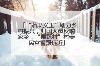 “蔬果义工”助力乡村振兴，归国人员反哺家乡，“果蔬村”村美民富香飘远近