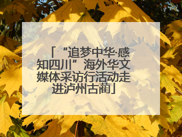 “追梦中华·感知四川”海外华文媒体采访行活动走进泸州古蔺