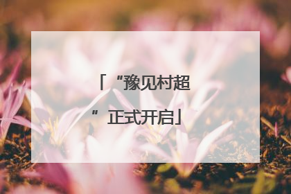 “豫见村超”正式开启
