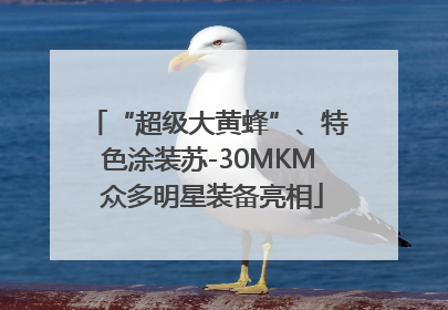 “超级大黄蜂”、特色涂装苏-30MKM 众多明星装备亮相