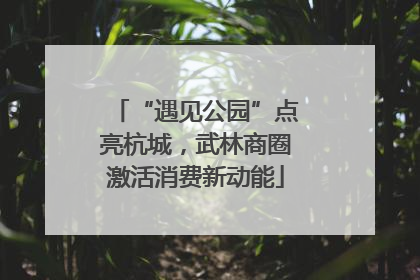 “遇见公园”点亮杭城，武林商圈激活消费新动能