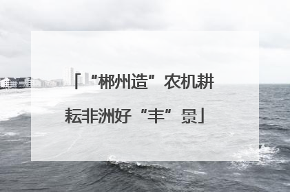 “郴州造”农机耕耘非洲好“丰”景