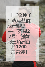 “金种子”改写盐碱地产粮史——“齐民27号”创黄河三角洲亩产1200斤奇迹