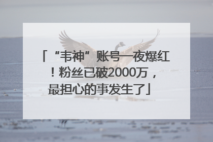 “韦神”账号一夜爆红！粉丝已破2000万，最担心的事发生了
