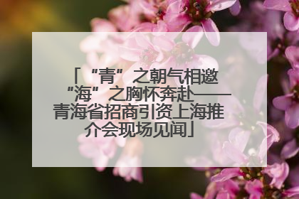 “青”之朝气相邀 “海”之胸怀奔赴——青海省招商引资上海推介会现场见闻
