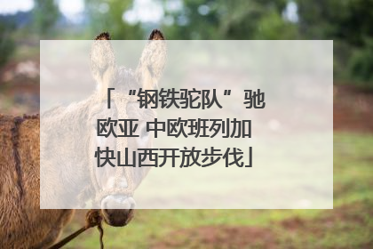 “钢铁驼队”驰欧亚 中欧班列加快山西开放步伐