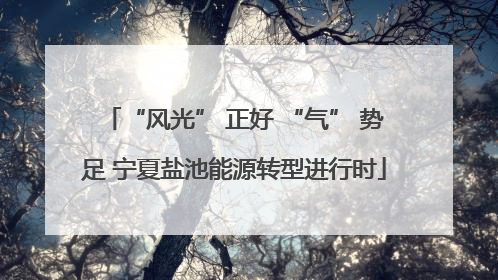 “风光” 正好 “气” 势足 宁夏盐池能源转型进行时