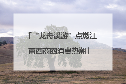 “龙舟溪游”点燃江南西商圈消费热潮