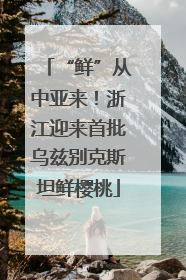 “鲜”从中亚来！浙江迎来首批乌兹别克斯坦鲜樱桃