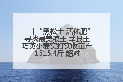 “黑松土 活化肥”寻找最美粮王 莘县王巧英小麦实打实收亩产1515.4斤 超对照田144斤！