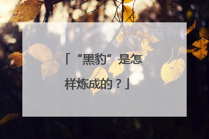 “黑豹”是怎样炼成的？