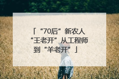 “70后”新农人“王老开”从工程师到“羊老开”