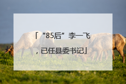“85后”李一飞，已任县委书记