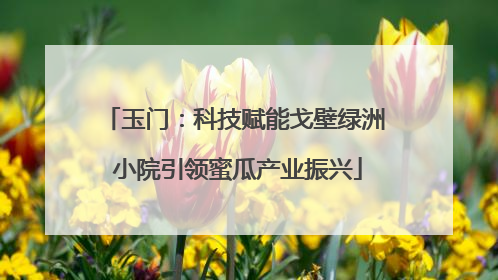 玉门：科技赋能戈壁绿洲 小院引领蜜瓜产业振兴