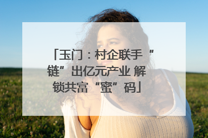 玉门：村企联手“链”出亿元产业 解锁共富“蜜”码