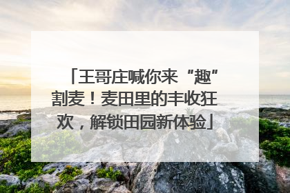王哥庄喊你来“趣”割麦！麦田里的丰收狂欢，解锁田园新体验