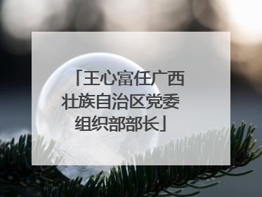 王心富任广西壮族自治区党委组织部部长