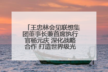 王忠林会见联想集团董事长兼首席执行官杨元庆 深化战略合作 打造世界级光电子信息产业集群