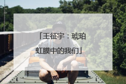 王征宇：琥珀虹膜中的我们