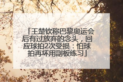 王楚钦称巴黎奥运会后有过放弃的念头，回应球拍2次受损：怕球拍再坏用副板练习