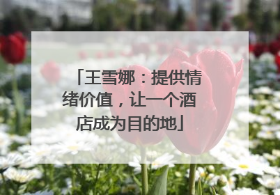 王雪娜：提供情绪价值，让一个酒店成为目的地