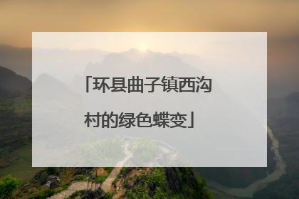 环县曲子镇西沟村的绿色蝶变