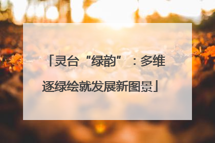 灵台“绿韵”：多维逐绿绘就发展新图景