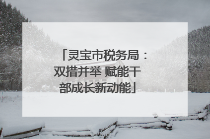 灵宝市税务局：双措并举 赋能干部成长新动能