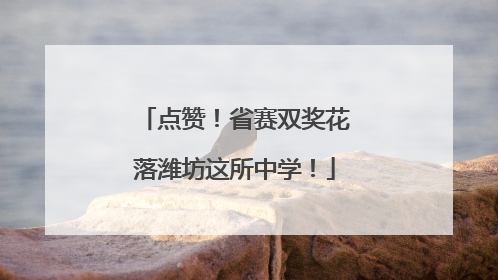 点赞！省赛双奖花落潍坊这所中学！