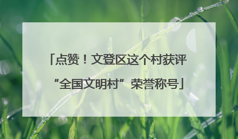 点赞！文登区这个村获评“全国文明村”荣誉称号