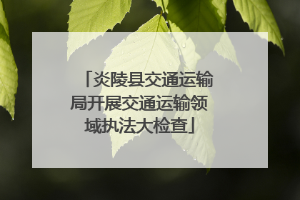 炎陵县交通运输局开展交通运输领域执法大检查