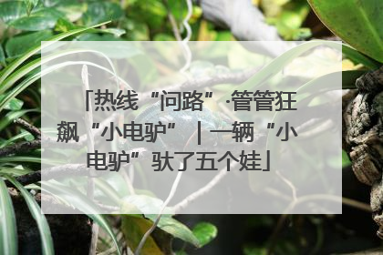 热线“问路”·管管狂飙“小电驴”｜一辆“小电驴”驮了五个娃