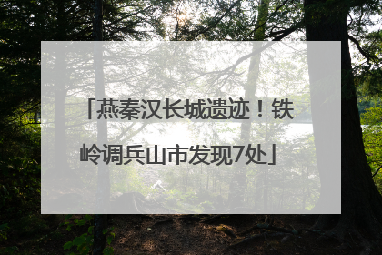 燕秦汉长城遗迹！铁岭调兵山市发现7处