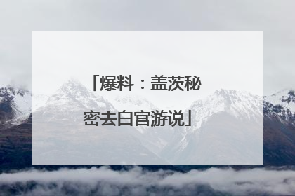 爆料：盖茨秘密去白宫游说