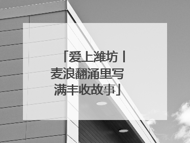 爱上潍坊丨麦浪翻涌里写满丰收故事