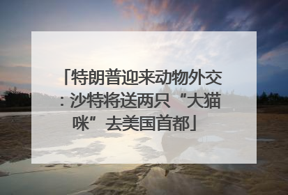 特朗普迎来动物外交：沙特将送两只“大猫咪”去美国首都