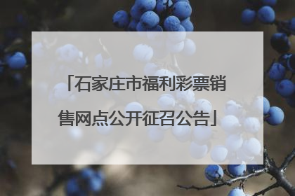 石家庄市福利彩票销售网点公开征召公告