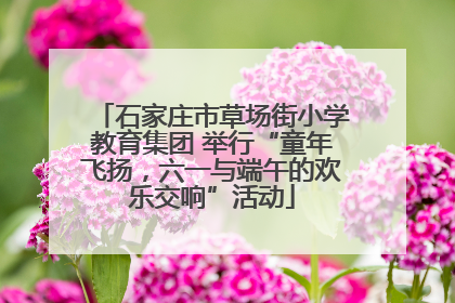 石家庄市草场街小学教育集团 举行“童年飞扬，六一与端午的欢乐交响”活动