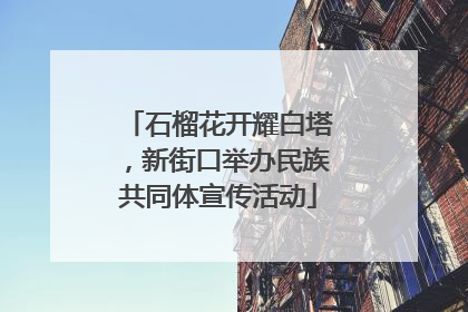 石榴花开耀白塔，新街口举办民族共同体宣传活动