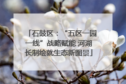 石鼓区：“五区一园一线”战略赋能 河湖长制绘就生态新图景