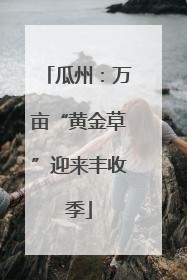 瓜州：万亩“黄金草”迎来丰收季