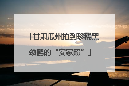 甘肃瓜州拍到珍稀黑颈鹤的“安家照”