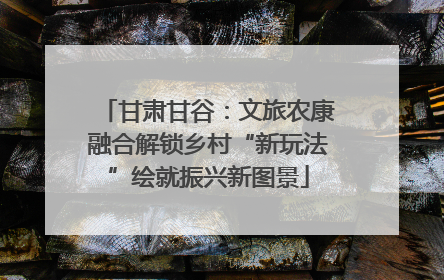 甘肃甘谷：文旅农康融合解锁乡村“新玩法”绘就振兴新图景
