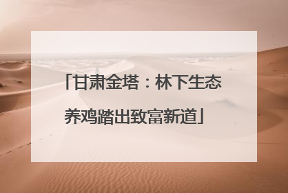 甘肃金塔：林下生态养鸡踏出致富新道
