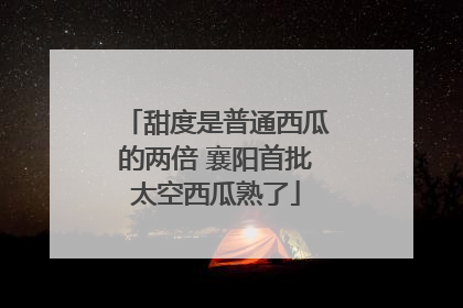 甜度是普通西瓜的两倍 襄阳首批太空西瓜熟了