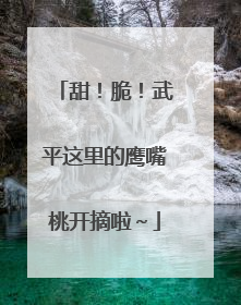 甜！脆！武平这里的鹰嘴桃开摘啦～
