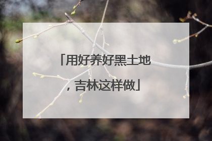 用好养好黑土地，吉林这样做