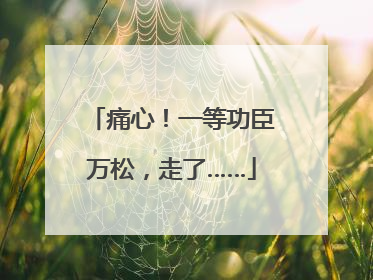 痛心！一等功臣万松，走了……